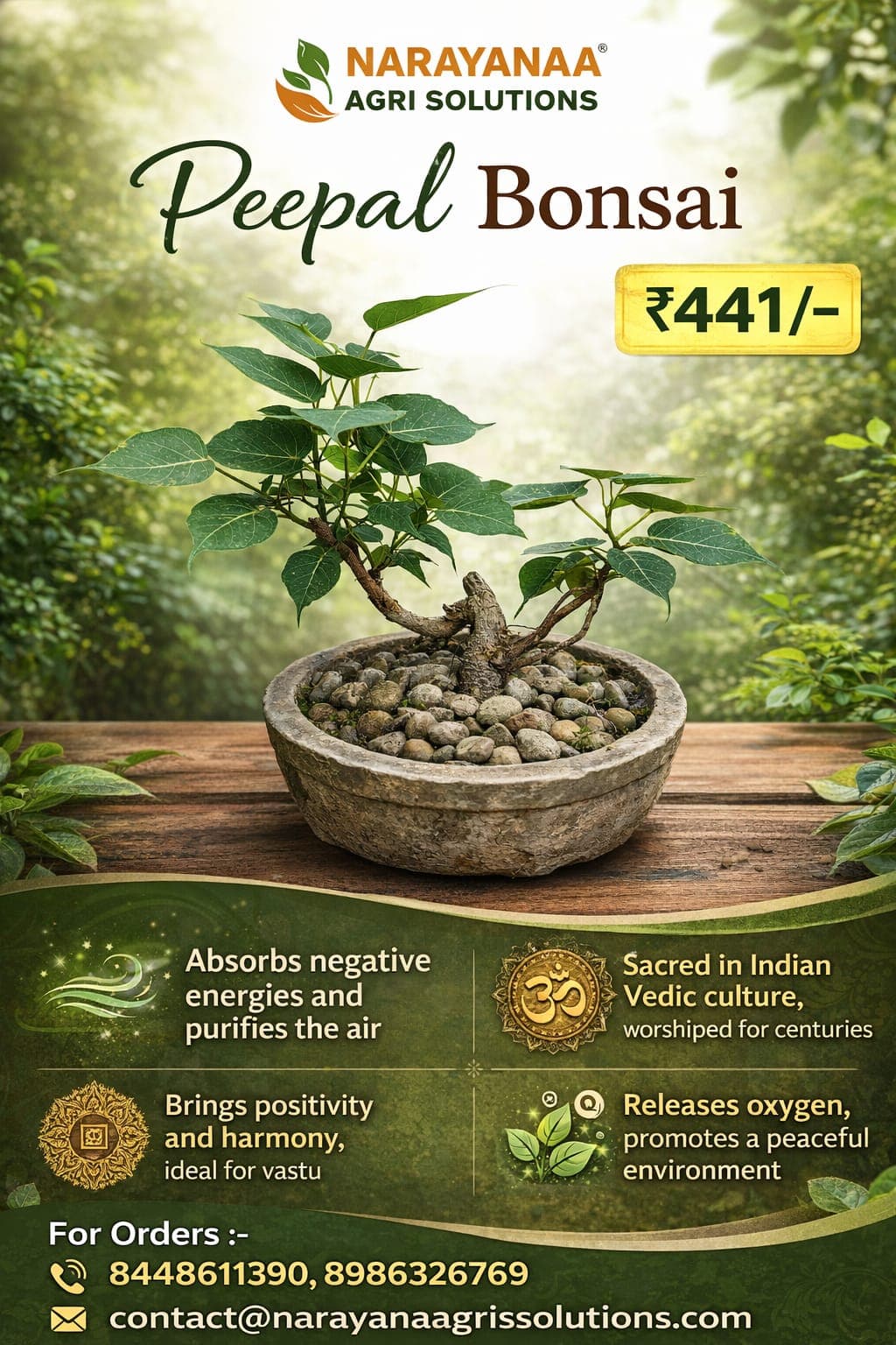Miniature Artistic Bonsai